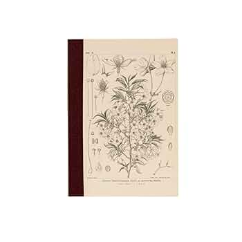 amizo ページ Amazon.com: ほぼ日 Hobonichi Notebook, Tomitaro Makino